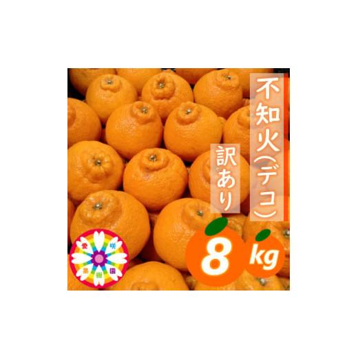 ふるさと納税 みかん・柑橘類 デコポン 愛媛県 八幡浜市 愛咲果樹園 「 不知火 ( デコ )」 訳...