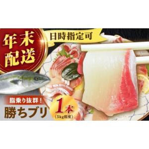 ふるさと納税 魚貝類 長崎県 新上五島町  12／29〜12／31にお届け 着日指定必須 養殖 勝ち ブリ 1本 （約5kg） ぶり ブリ 鰤 ぶりしゃぶ 刺身 鮮魚 海鮮 魚 五…