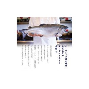ふるさと納税 魚貝類 鮭 新潟県 新潟市 加島...の詳細画像4