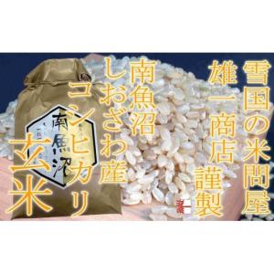 ふるさと納税 玄米 新潟県 南魚沼市 令和7年産 ●玄米● 定期便20Kg×12ヶ月 生産者限定 南魚沼しおざわ産コシヒカリ 定期便 銘柄米 ブランド米 玄米 こしひ…