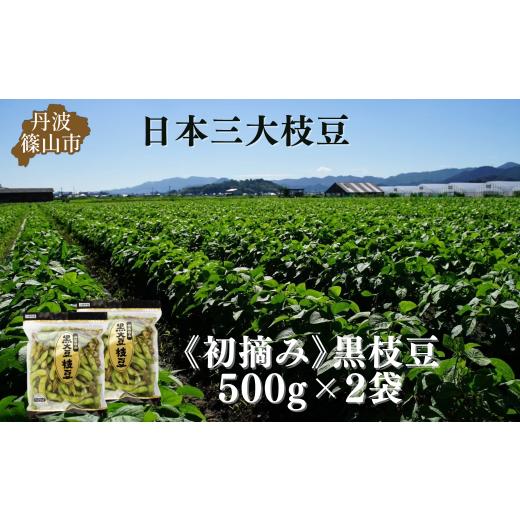 ふるさと納税 豆類 枝豆 兵庫県 丹波篠山市 秋の味覚「丹波黒枝豆」　フレッシュな甘み・500g×2...
