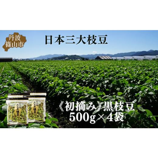 ふるさと納税 豆類 枝豆 兵庫県 丹波篠山市 秋の味覚「丹波黒枝豆」 フレッシュな甘み・500g×4...