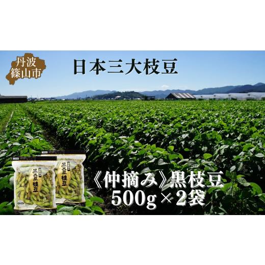 ふるさと納税 豆類 枝豆 兵庫県 丹波篠山市 秋の味覚「丹波黒枝豆」 爽やかな旨味・500g×2袋　...