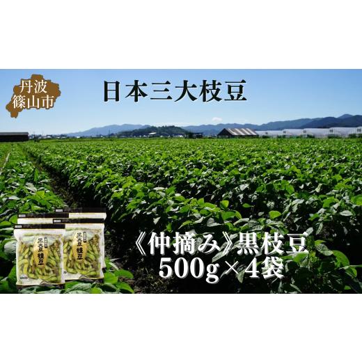 ふるさと納税 豆類 枝豆 兵庫県 丹波篠山市 秋の味覚「丹波黒枝豆」 爽やかな旨味・500g×4袋　...