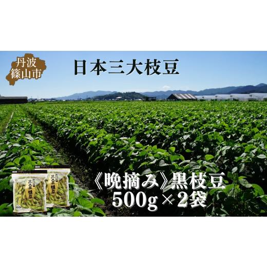ふるさと納税 豆類 枝豆 兵庫県 丹波篠山市 秋の味覚「丹波黒枝豆」 濃厚なコク・500g×2袋　晩...