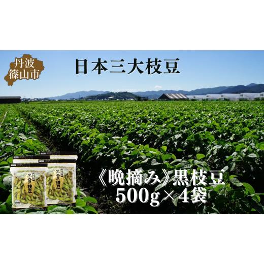 ふるさと納税 豆類 枝豆 兵庫県 丹波篠山市 秋の味覚「丹波黒枝豆」 濃厚なコク・500g×4袋　晩...