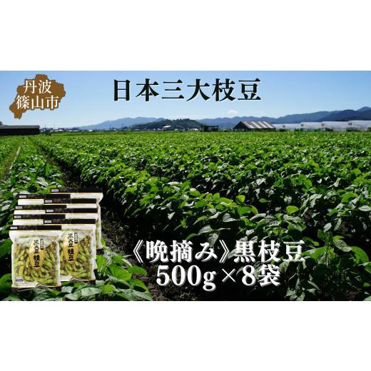 ふるさと納税 豆類 枝豆 兵庫県 丹波篠山市 秋の味覚「丹波黒枝豆」 濃厚なコク・500g×8袋　晩...