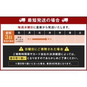 ふるさと納税 ビール 福島県 本宮市 福島のへ...の詳細画像2