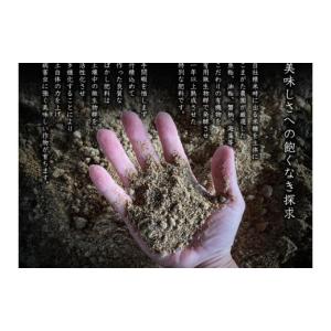 ふるさと納税 米 コシヒカリ 新潟県 南魚沼市...の詳細画像5