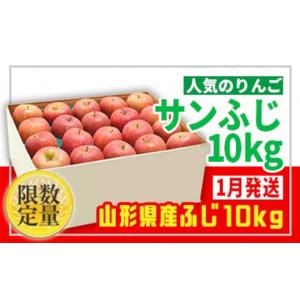 ふるさと納税 りんご 山形県 山形市  フルーツ王国山形 家庭用 無袋サンふじりんご 10kg 1月発送 FZ24-943