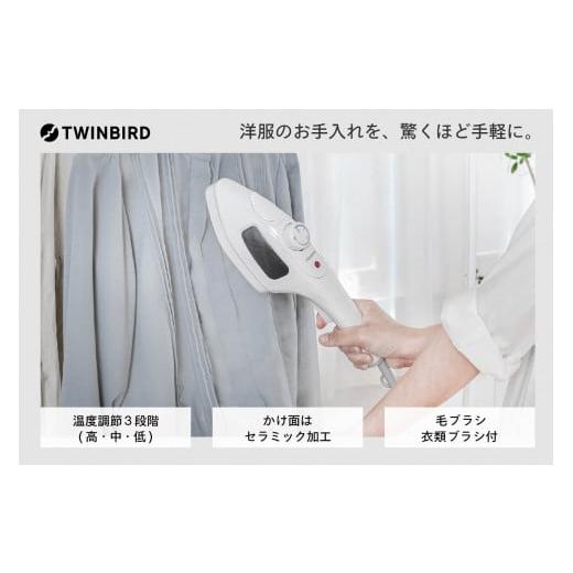 ふるさと納税 電化製品 新潟県 燕市  除菌 ツインバード ハンディーアイロン &amp; スチーマー( E...