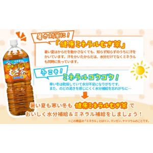 ふるさと納税 お茶類 北海道 恵庭市 『定期便...の詳細画像4