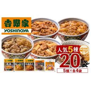 ふるさと納税 牛肉 セット 新潟県 十日町市 定期便 ６ヶ月 吉野家 人気５種２０袋バラエティセット（冷凍）