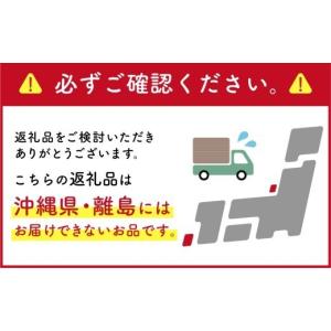 ふるさと納税 雑貨・日用品 岐阜県 可児市 エ...の詳細画像3