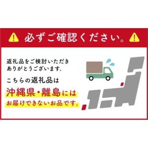 ふるさと納税 雑貨・日用品 岐阜県 可児市 エ...の詳細画像3