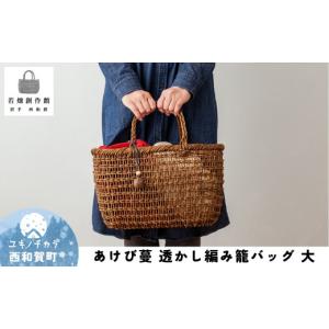 ふるさと納税 民芸品・工芸品 兵庫県 豊岡市 かごバッグ 柳かご（大