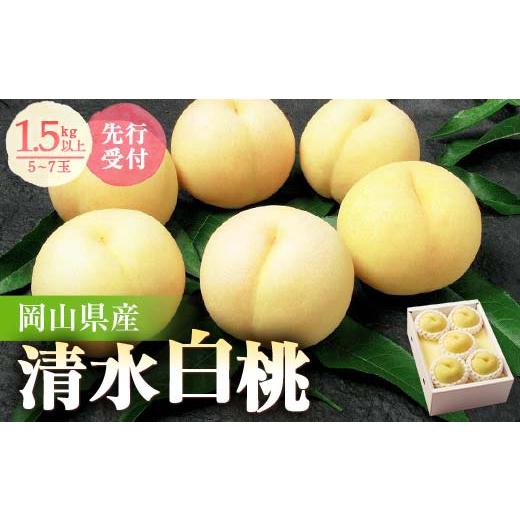 ふるさと納税 もも 岡山県 津山市  先行受付 　岡山県産　清水白桃5〜7玉　2026年発送_桃 も...
