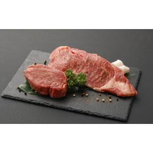 ふるさと納税 牛肉 ステーキ 熊本県 水俣市 定期便10か月 熊本産 ステーキ 用 あか牛 定期便 10か月コース