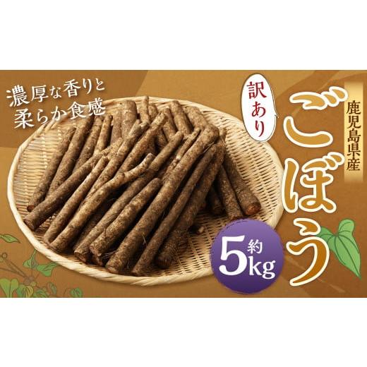 ふるさと納税 人参・大根・他根菜 鹿児島県 薩摩川内市 AS-075 鹿児島県産 土付き ごぼう 約...