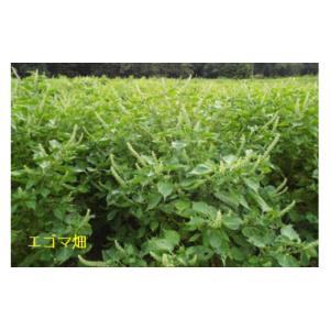 ふるさと納税 食用油 植物油 新潟県 南魚沼市...の詳細画像3