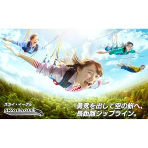 ふるさと納税 イベントやチケット等 兵庫県 三...の詳細画像4