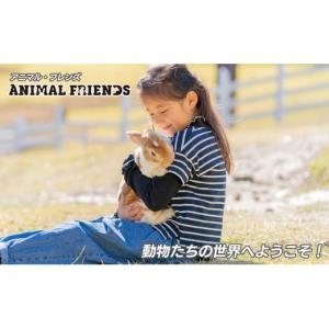 ふるさと納税 イベントやチケット等 兵庫県 三...の詳細画像5