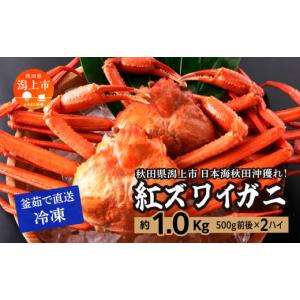ふるさと納税 秋田県 潟上市 日本海沖産 紅ズワイガニ500g前後×2匹