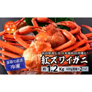 ふるさと納税 秋田県 潟上市 日本海沖産 紅ズワイガニ600g前後×2匹
