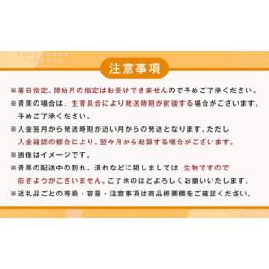 ふるさと納税 果物類 みかん 和歌山県 印南町...の詳細画像5