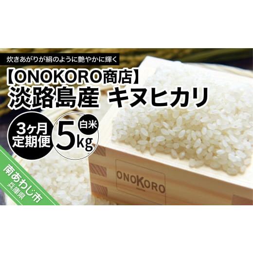 ふるさと納税 兵庫県 南あわじ市 【3ヶ月定期便】淡路島産 キヌヒカリ　5kg