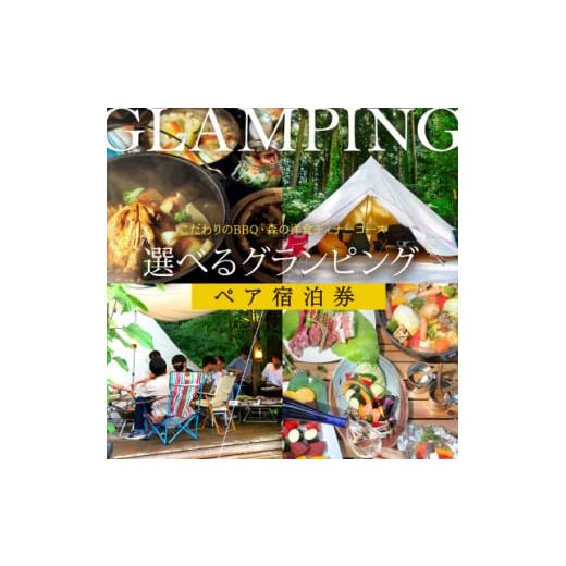 ふるさと納税 宿泊券 ホテル 石川県 白山市  グランピング BBQ・洋食ディナーから食事を選べる ...