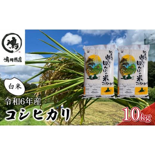 ふるさと納税 千葉県 千葉市 【先行予約】R6年産　コシヒカリ　白米　10ｋｇ [No.5346-0...