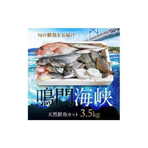 ふるさと納税 徳島県 鳴門市  鳴門海峡 冷凍 鮮魚セット 3.5kg （魚種：4〜5種） 魚 魚介...