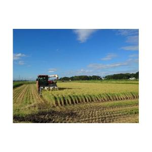 ふるさと納税 米 茨城県 古河市 令和7年産 ...の詳細画像5