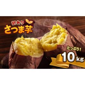 ふるさと納税 野菜類 サツマイモ 熊本県 和水...の詳細画像1