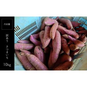 ふるさと納税 野菜類 サツマイモ 熊本県 和水...の詳細画像2