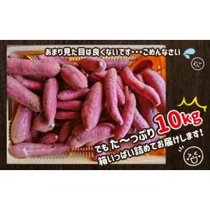 ふるさと納税 野菜類 サツマイモ 熊本県 和水...の詳細画像5