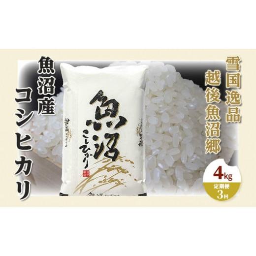 ふるさと納税 新潟県 魚沼市 [No.5762-0962]【定期便：雪国逸品 精米4kg×3ヶ月】越...