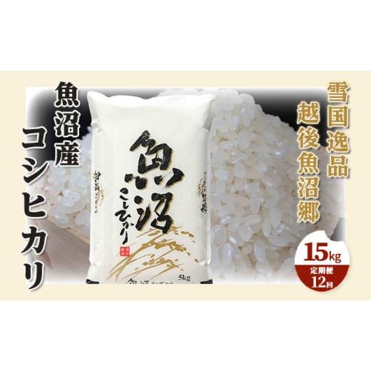 ふるさと納税 新潟県 魚沼市 [No.5762-0974]【定期便：雪国逸品 精米15kg×12ヶ月...