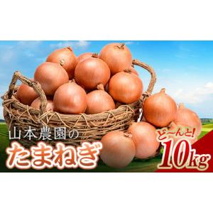 ふるさと納税 野菜類 玉ねぎ 北海道 南幌町 北海道産 「山本農園のたまねぎ」L〜L大サイズ前後 10kg 南幌町産 玉ねぎ タマネギ 玉葱 NP1-306