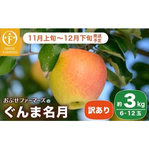 ふるさと納税 りんご 長野県 小布施町 訳あり ぐんま名月 約3kg 6〜12玉 [おぶせファーマ...