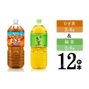 ふるさと納税 お茶類 緑茶（飲料） 宮崎県 川南町 伊藤園 健康ミネラルむぎ茶2L(6本)＋お〜いお茶緑茶2L(6本) 伊藤園 飲料類 お茶 麦茶 緑茶 PET セット 詰め…