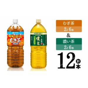 ふるさと納税 お茶類 緑茶（飲料） 宮崎県 川南町 伊藤園 健康ミネラルむぎ茶2L(6本)＋お〜いお茶濃い茶2L(6本) (PET） 飲料類 麦茶 緑茶 PET セット 詰め合わ…
