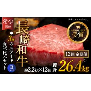 ふるさと納税 牛肉 ヒレ 長崎県 佐々町 全1...の詳細画像1