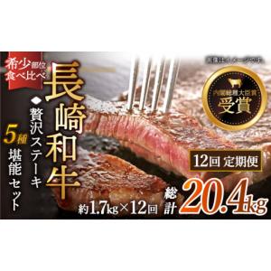 ふるさと納税 牛肉 ヒレ 長崎県 佐々町 全1...の詳細画像1