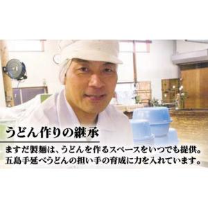ふるさと納税 うどん 乾めん 長崎県 新上五島...の詳細画像4