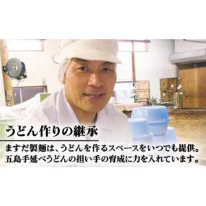 ふるさと納税 うどん 乾めん 長崎県 新上五島...の詳細画像4
