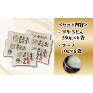 ふるさと納税 うどん 生・半生めん 長崎県 新...の詳細画像3