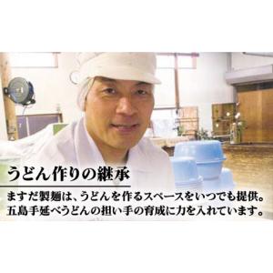ふるさと納税 うどん 生・半生めん 長崎県 新...の詳細画像5