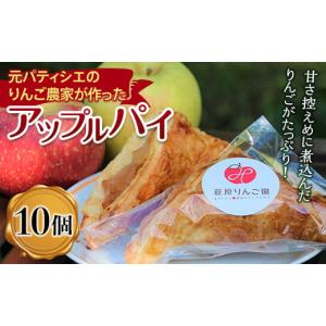 ふるさと納税 焼菓子・チョコレート アップルパイ